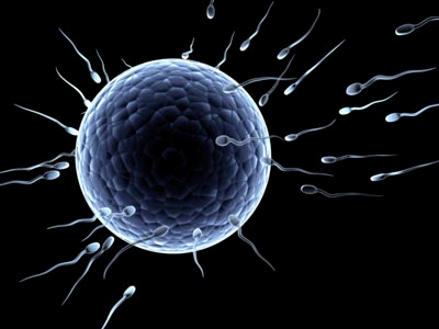causas de la infertilidad masculina