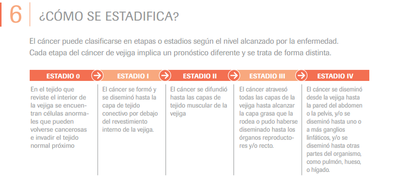 cancer vejiga6